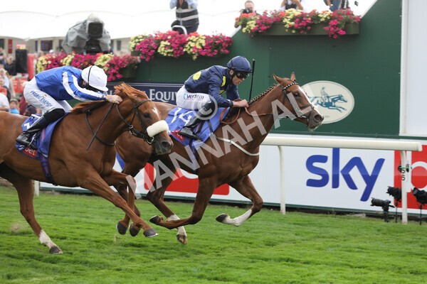 yr18082022r1-23 - Race 1 1.50pm Sky Bet Lowther Stakes
