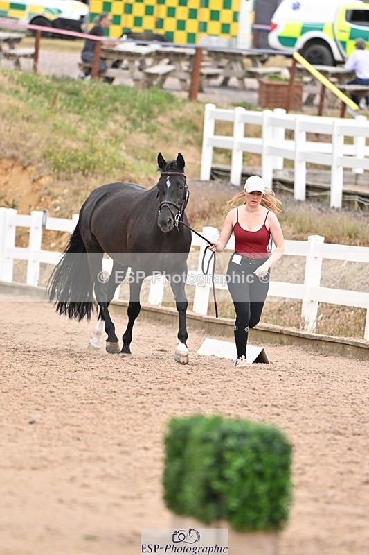 250716-161238-02494 - Trot Up 3.30 to 4.30