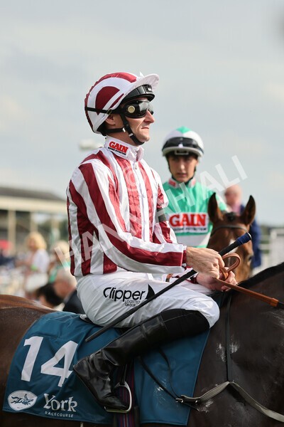yr04092022r6-15 - Race 6 4.40pm Hanson Springs Stakes