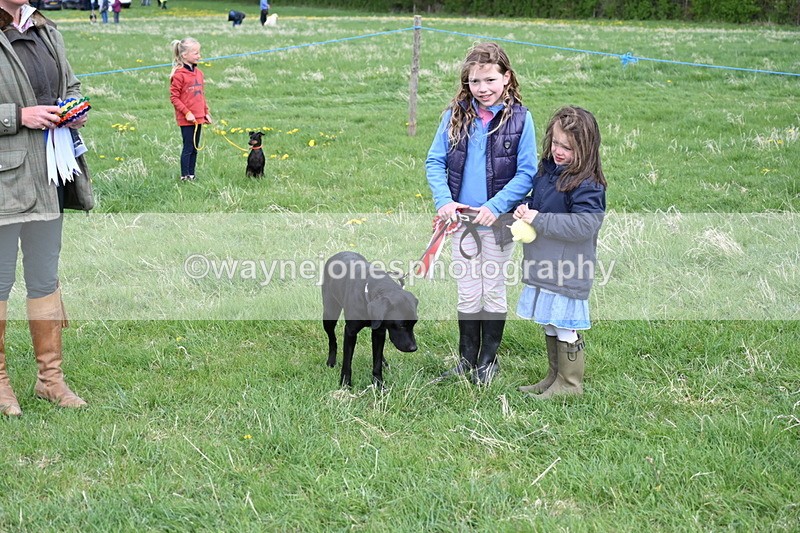 WJ6_8158 - Class 2 Best Pedigree