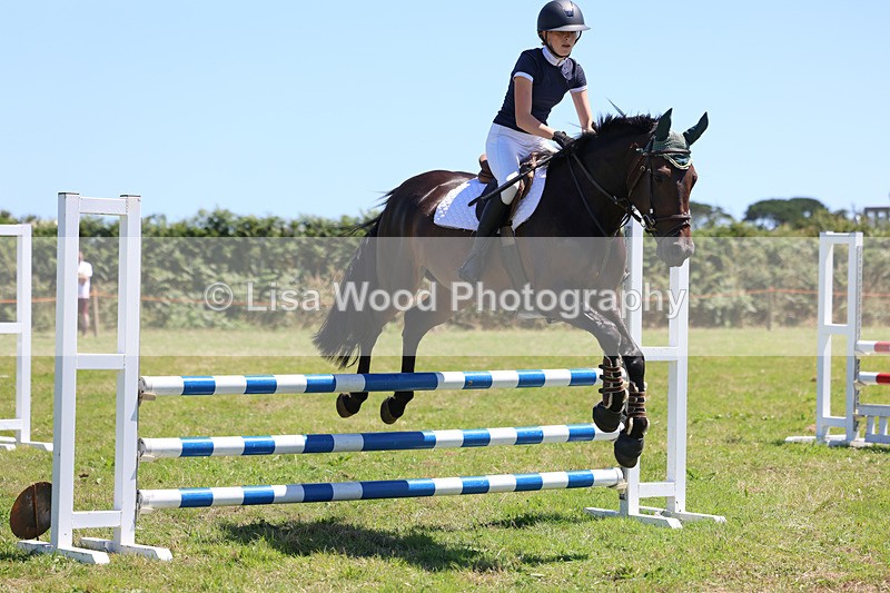 3E7A5518 - Class 9: Senior British Novice/90cm open
