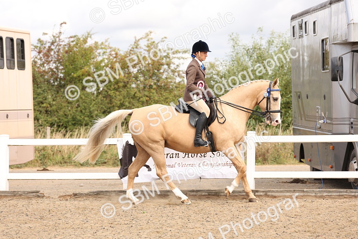 SBM_04320 - Class 54 - Riding Club Horse/Pony