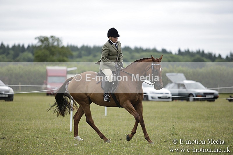 BVR160717-468 - Ring 1 BVRC Show 16/07/17