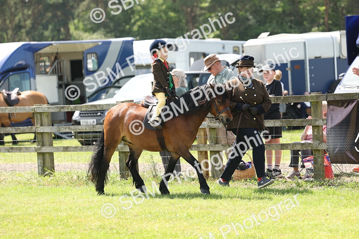 SBM_05305 - Class 24-25 - Mountain & Moorland In Hand Lead Rein and First Ridden