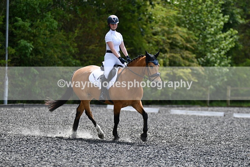 WJ5_0997 - Time 13:45 to 14:20