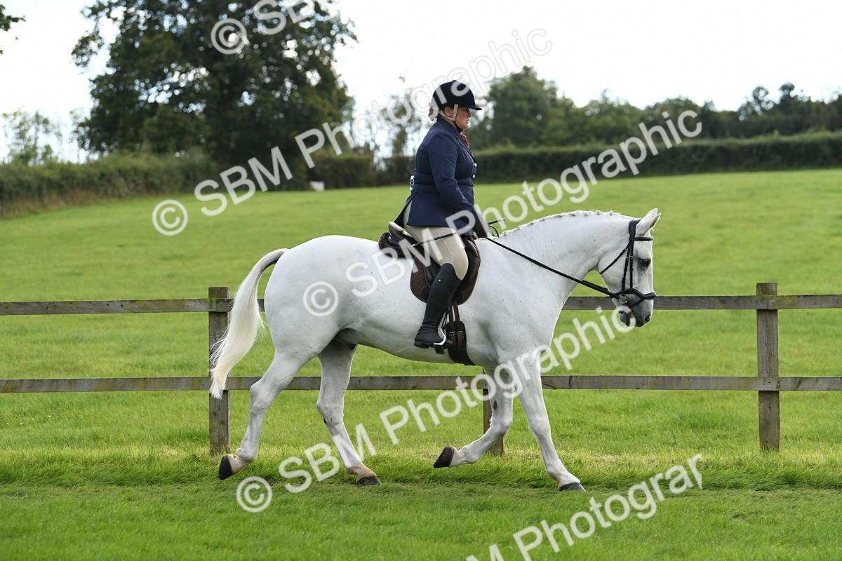 SBM_46720 - S12 - Family Horse & Pony