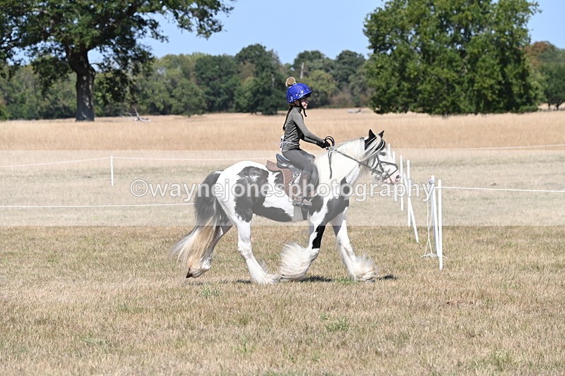 WJ6_8793 - Class 38 Ridden Riding Horse/Pony