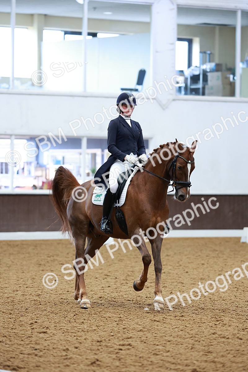 SBM_001132 - Class 12-19-16 - Lusitania-FEI INT I - PYO ADV 1