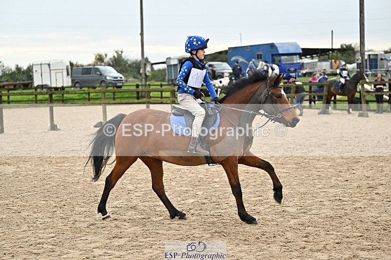 241110-141451-01067 - 60-65cm Arena Eventing