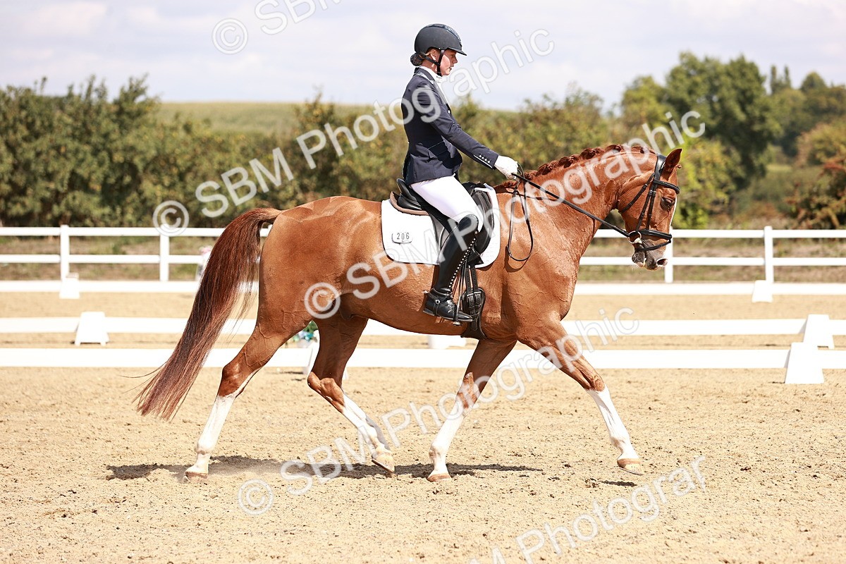 SBM_018436 - Class 17 - Novice 6