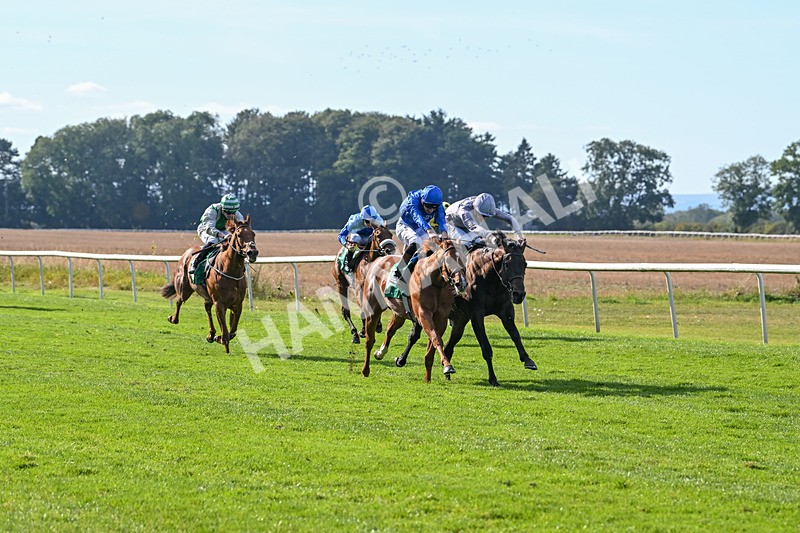 160924-Race 4-Watching Stars-2863 - Race 4