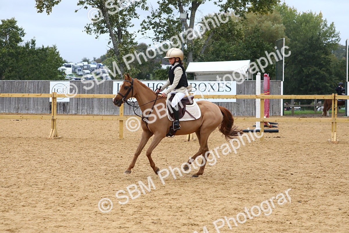 SBM_72024 - J3b - Mini Tour Junior Pony 40cm Championship