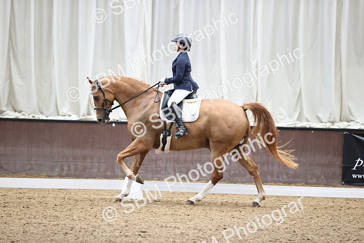 SBM_000852 - Novice 4 Warm Up