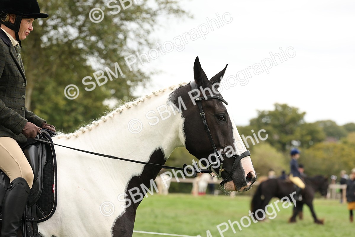 SBM_67201 - S67 - Piebald & Skewbald Horse Ridden