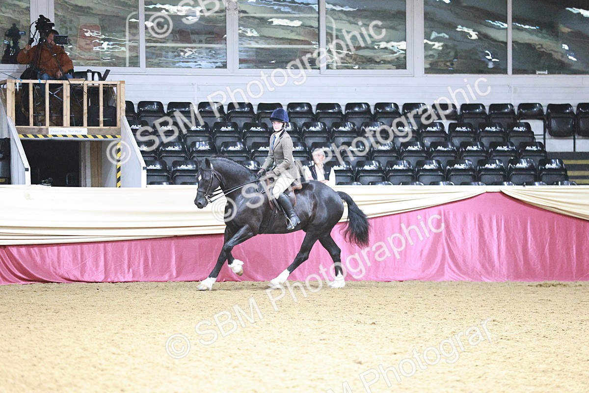 SBM_03502 - Class 6A Area Ridden Pre-Vet