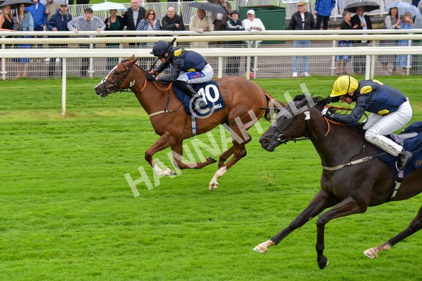 140723-Race 2-Swingalong-8134 - Race 2 2.40pm William Hill Summer Stakes