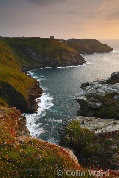 Tintagel Cliffs. Ref 2750 - Cornwall