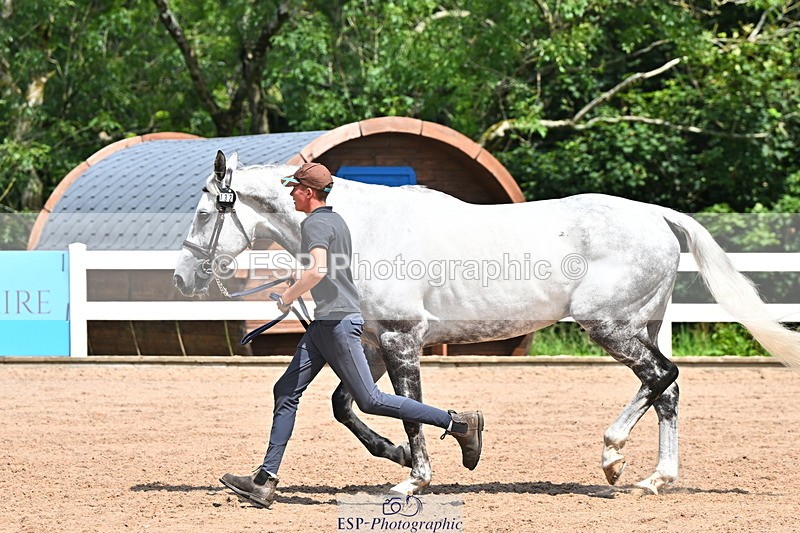 240718A-105252-01263 - Trot Up 12pm to 1pm