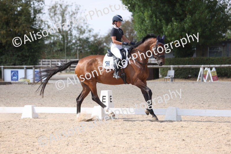 20260815-1106 - Class 6 - Novice 2