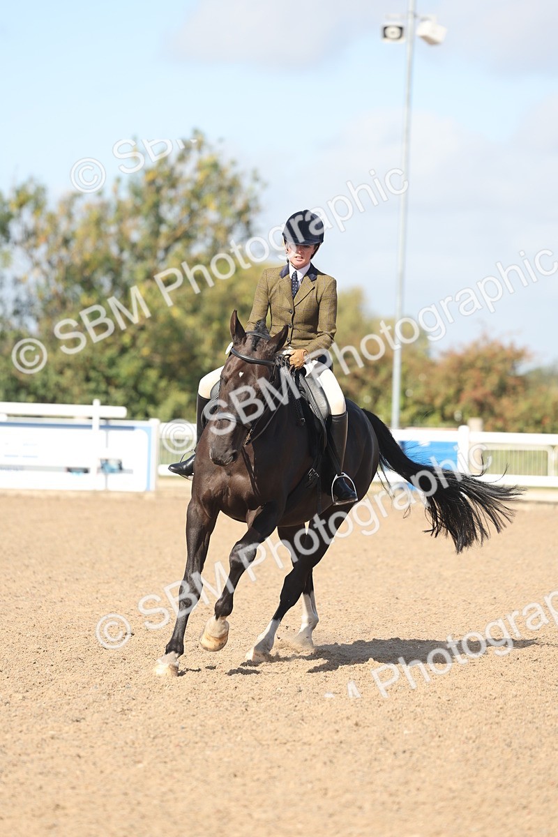 SBM_22662 - Class 805 - Ridden Veteran Horse