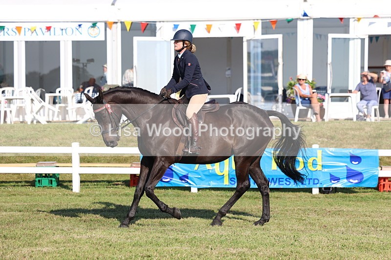 3E7A5359 - Class 2: Rising Star Large Hack/Riding Horse