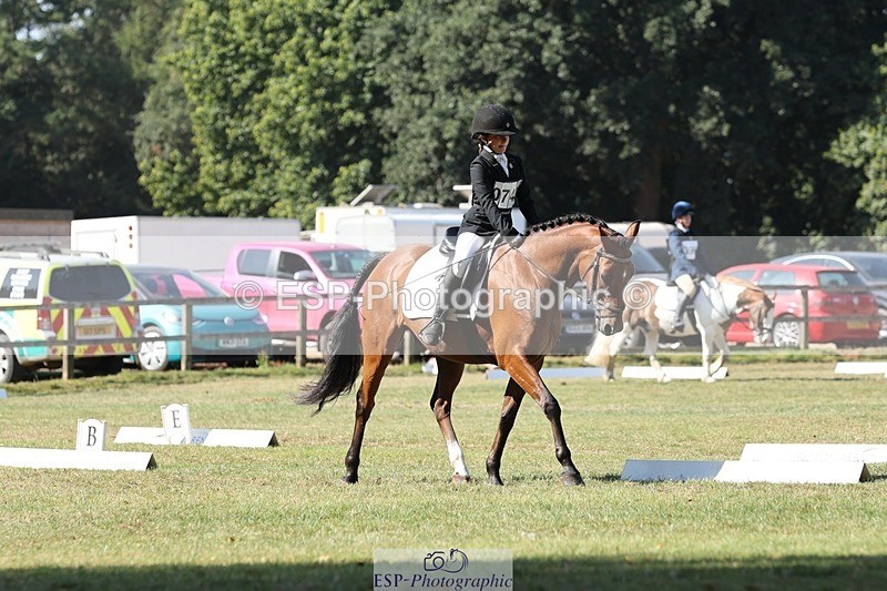 250823A-102542-27023 - Arena C