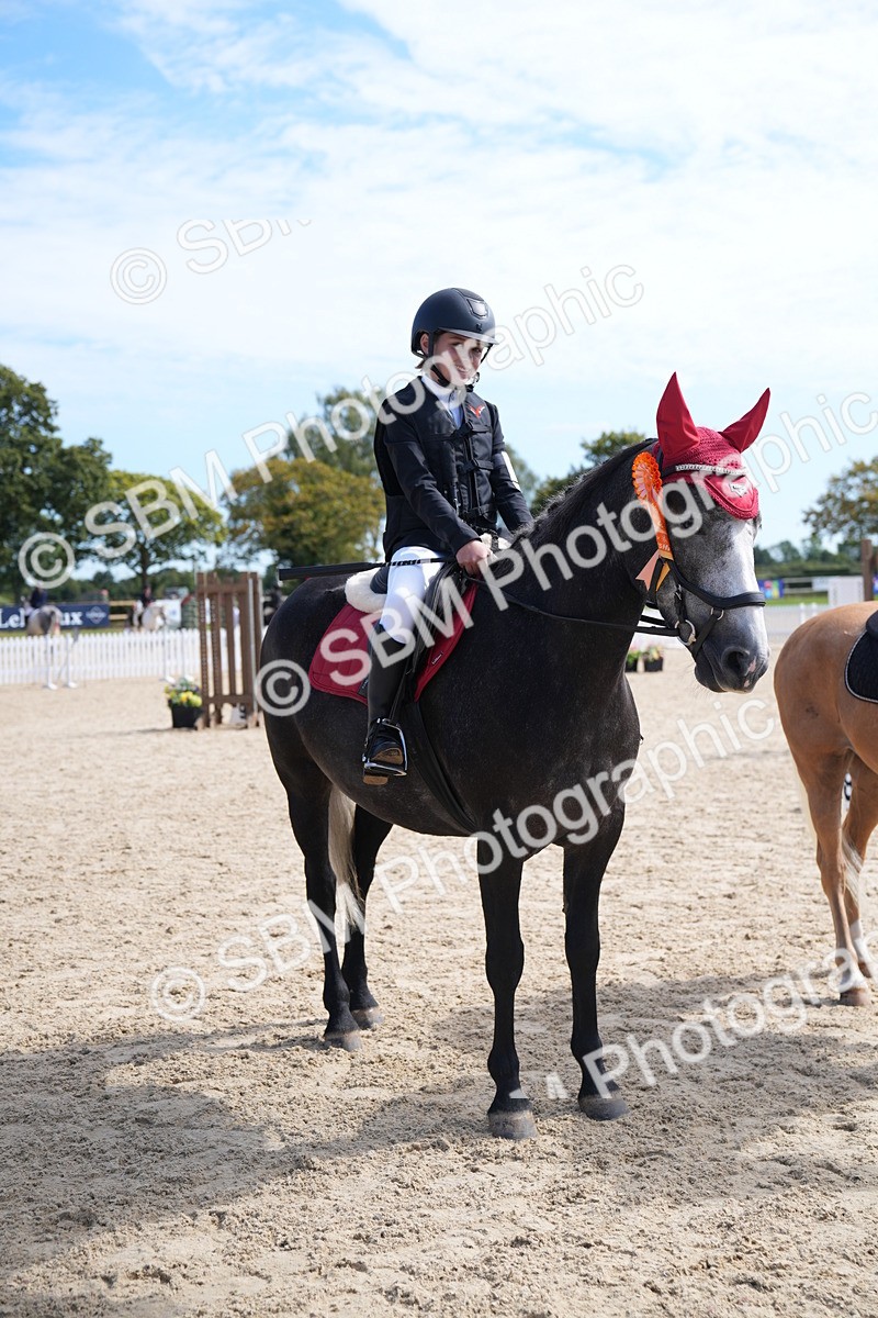 SBM_21600 - J49 - Open 50cm