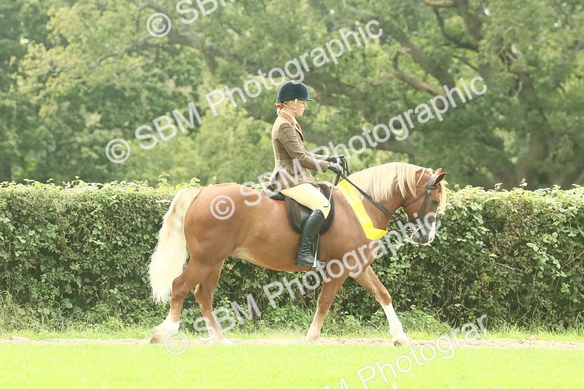 SBM_74159 - Ridden Pony Supreme Championship