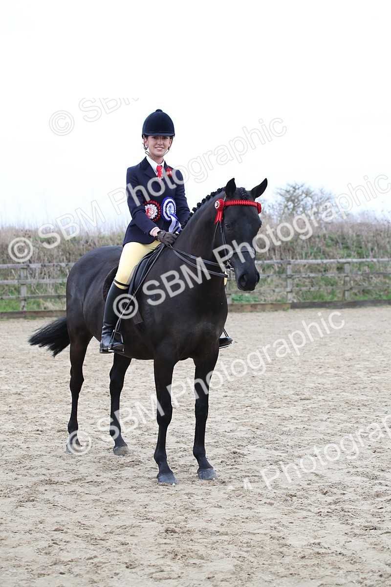 SBM_004808 - Class 5-9 - NPS In Hand-Show Hunter-Intermediate Ridden Inc Ridden Championship