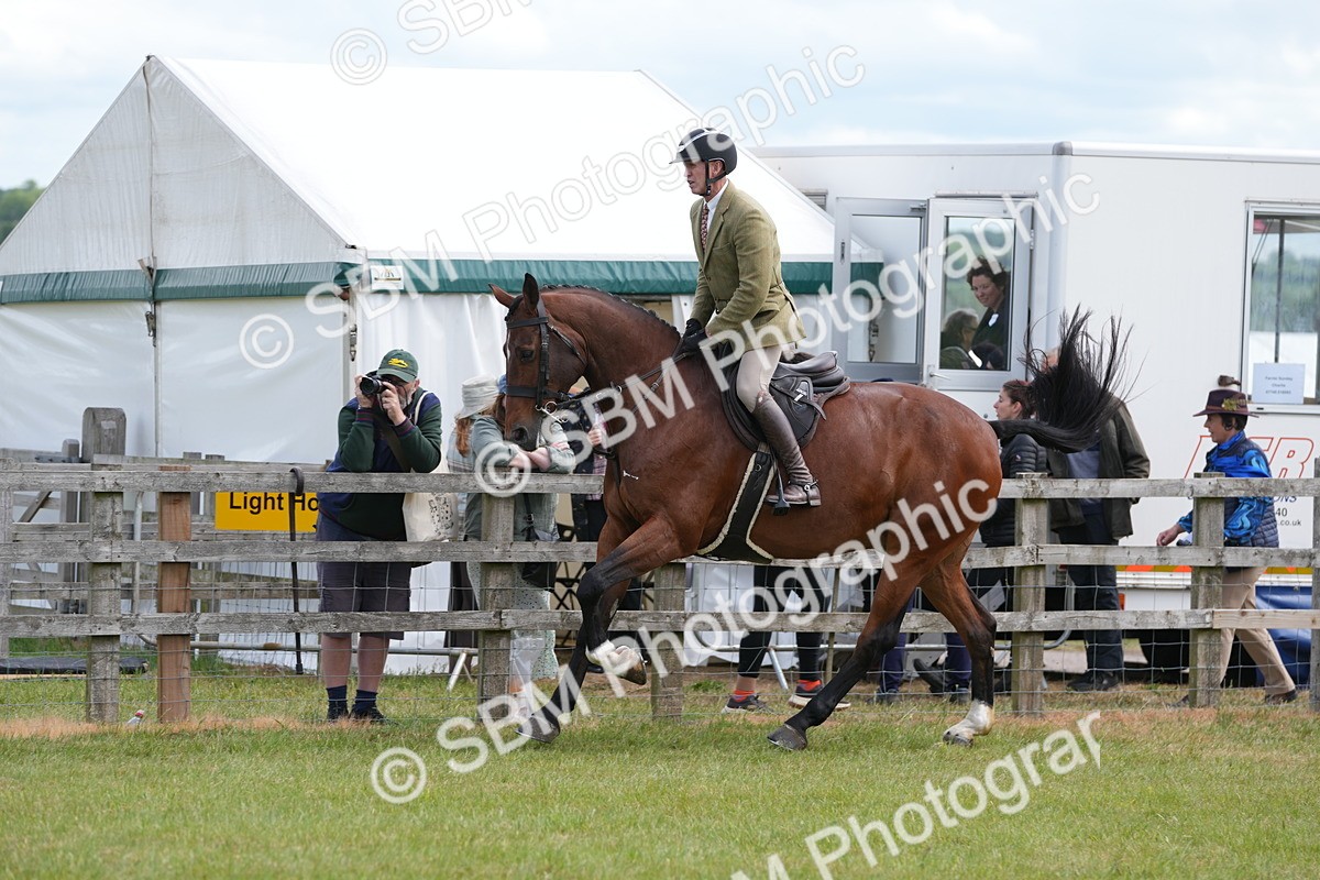 SBM_15013 - Class 100-102 - RIHS Working Hunter