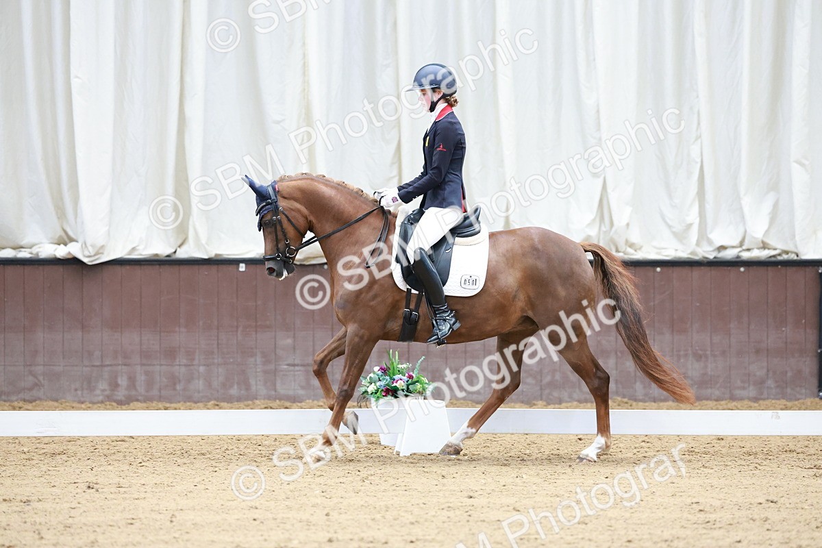 SBM_017195 - Class15 - FEI Pony