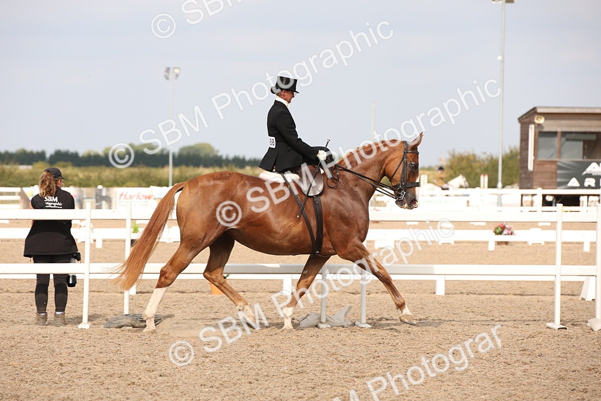 SBM_06705 - Class 24 Concours d'elegance