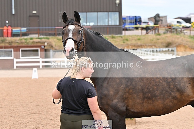 250716-144645-01388 - Trot Up 2.30 to 3.30