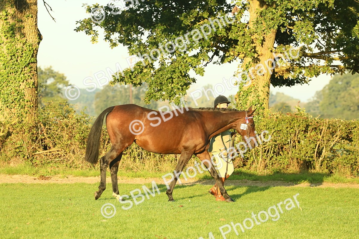 SBM_56500 - S36 - Starters Best Turnout