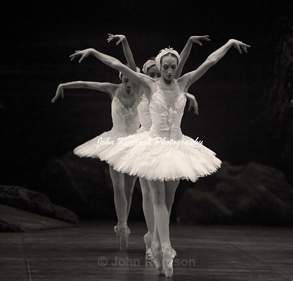  - Swan Lake