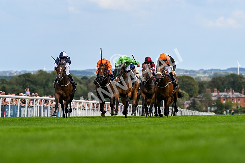 300826-Race 2-Jm Jungle-9519 - Race 2 2.15pm William Hill Beverley Bullet Sprint Stakes