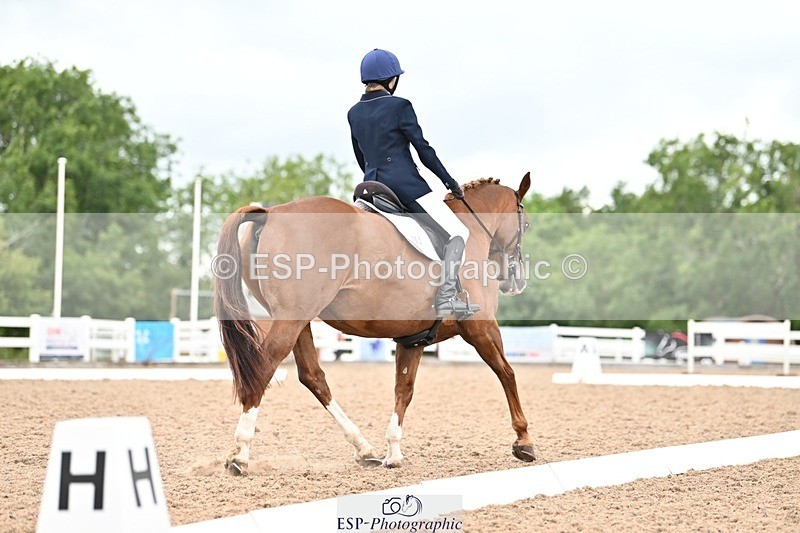 250705-175535-04214 - N2 Section BDNOV2 16.29 to 17.46