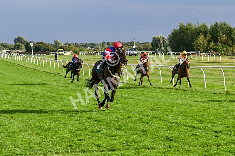 280824-Race 7-Crocodile Power-5076 - Race 7