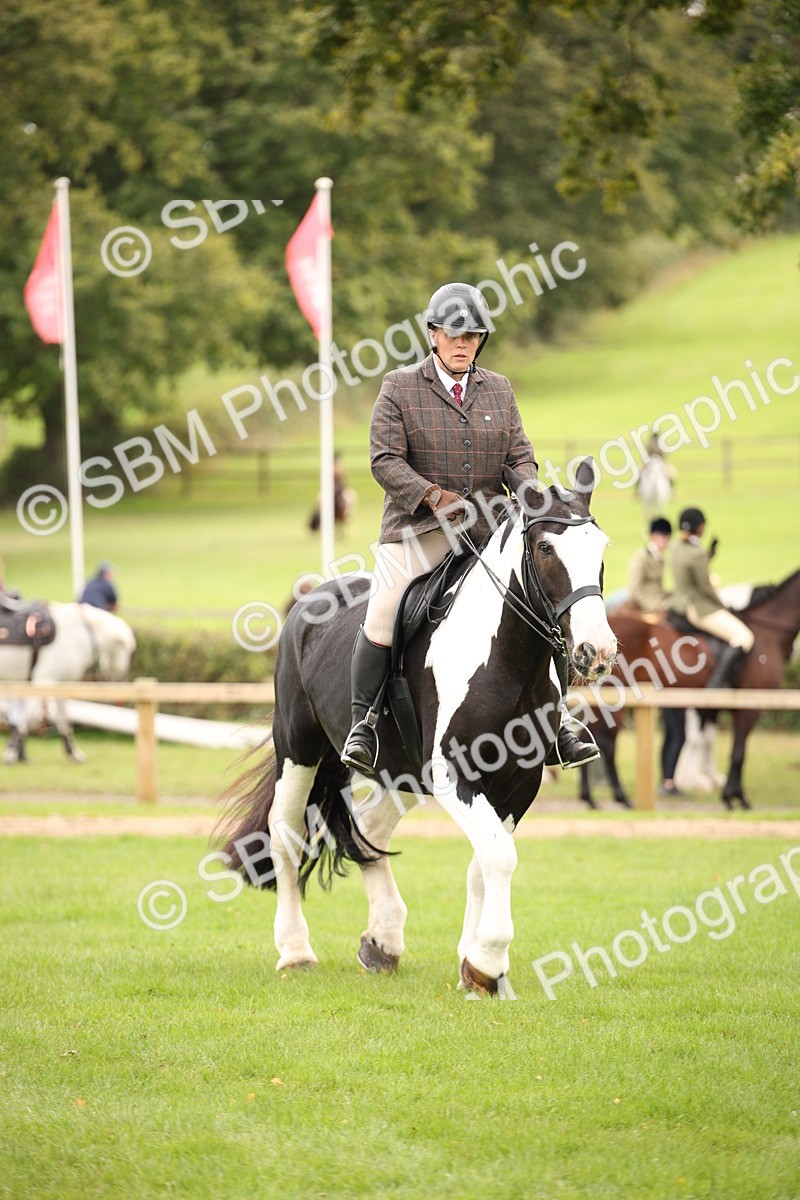 SBM_72374 - S67 - Show Cob Ridden