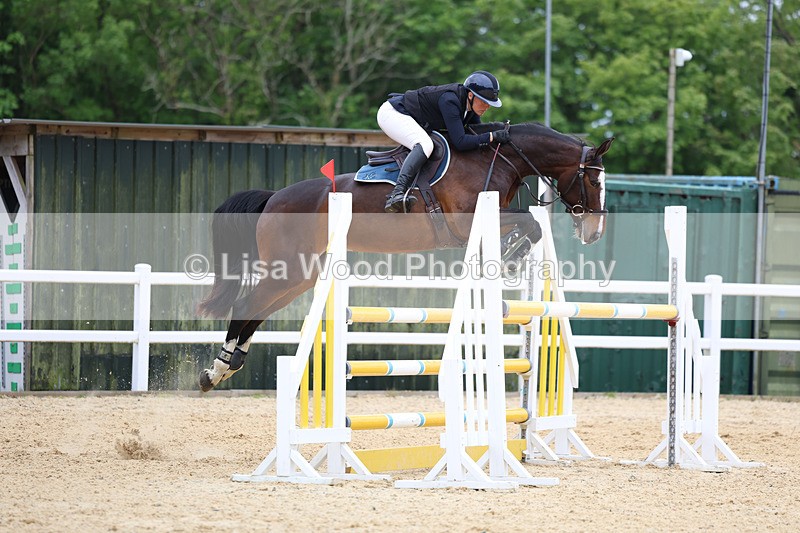 3E7A9578 - Class 9: Senior Foxhunter/1.20 open