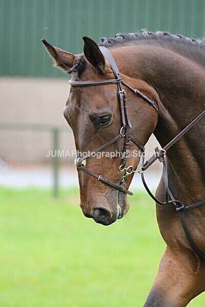 SIAL7757 - championships