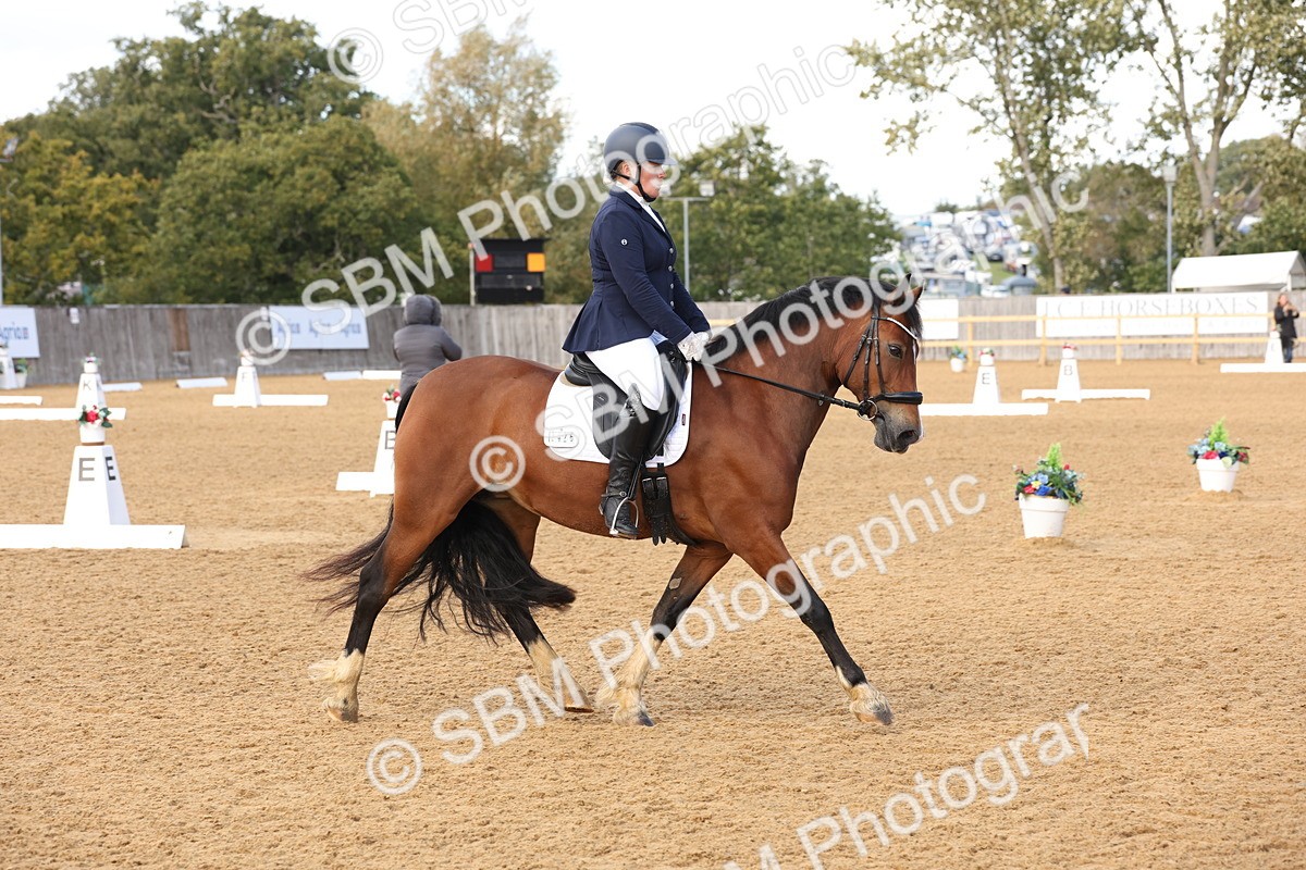 SBM_47438 - D12 - Small Tour Championship prelim 2