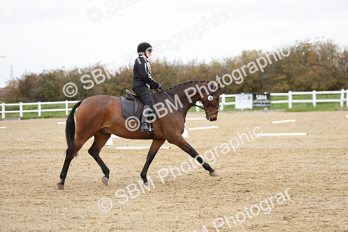 SBM_003910 - Class 9-12 - Novice 2 Elementary 3