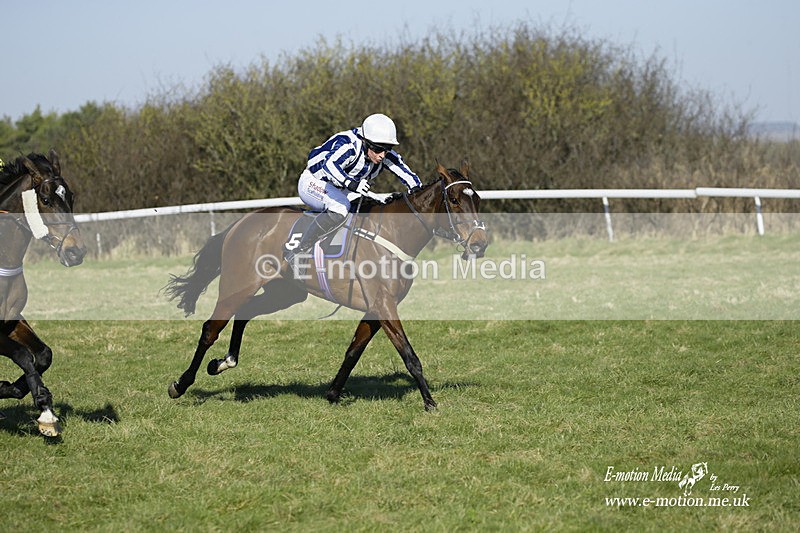 PtP 270222 97 - South & West Wilts Point-to-Point Larkhill 27/02/22