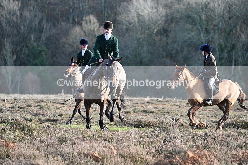 WJ7_7957 - Line 3 (no line 4 or 5)