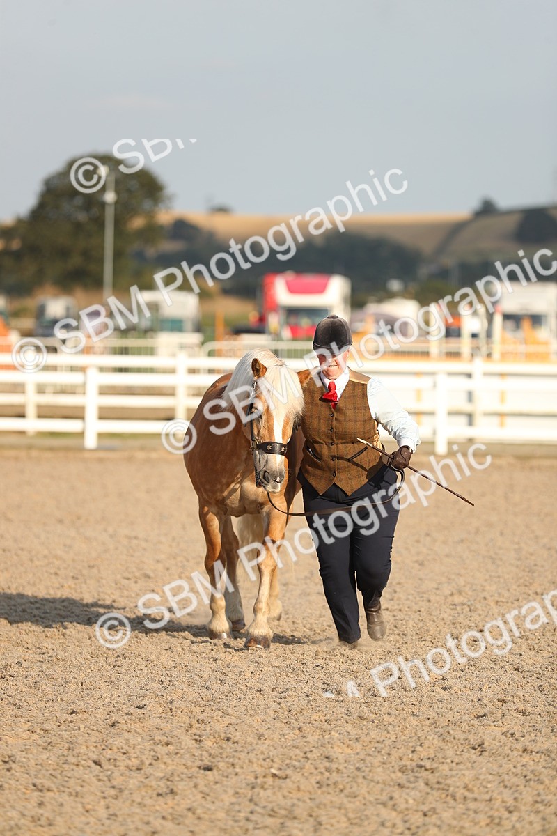SBM_09048 - Class 29 IH Veteran Pony