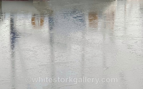  - NEW Winter Reflection