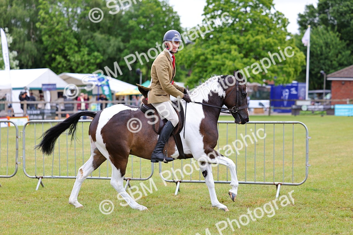 SBM_02628 - Class 9-11 Side Saddle including LIHS Rising Star Ladies Show Horse