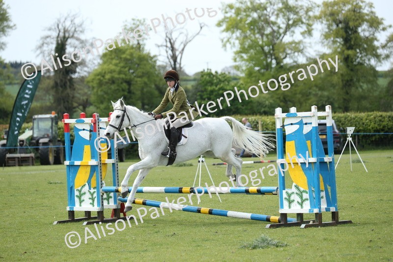 20260426-2088 - Class 15 - Absolute Novice 70cm