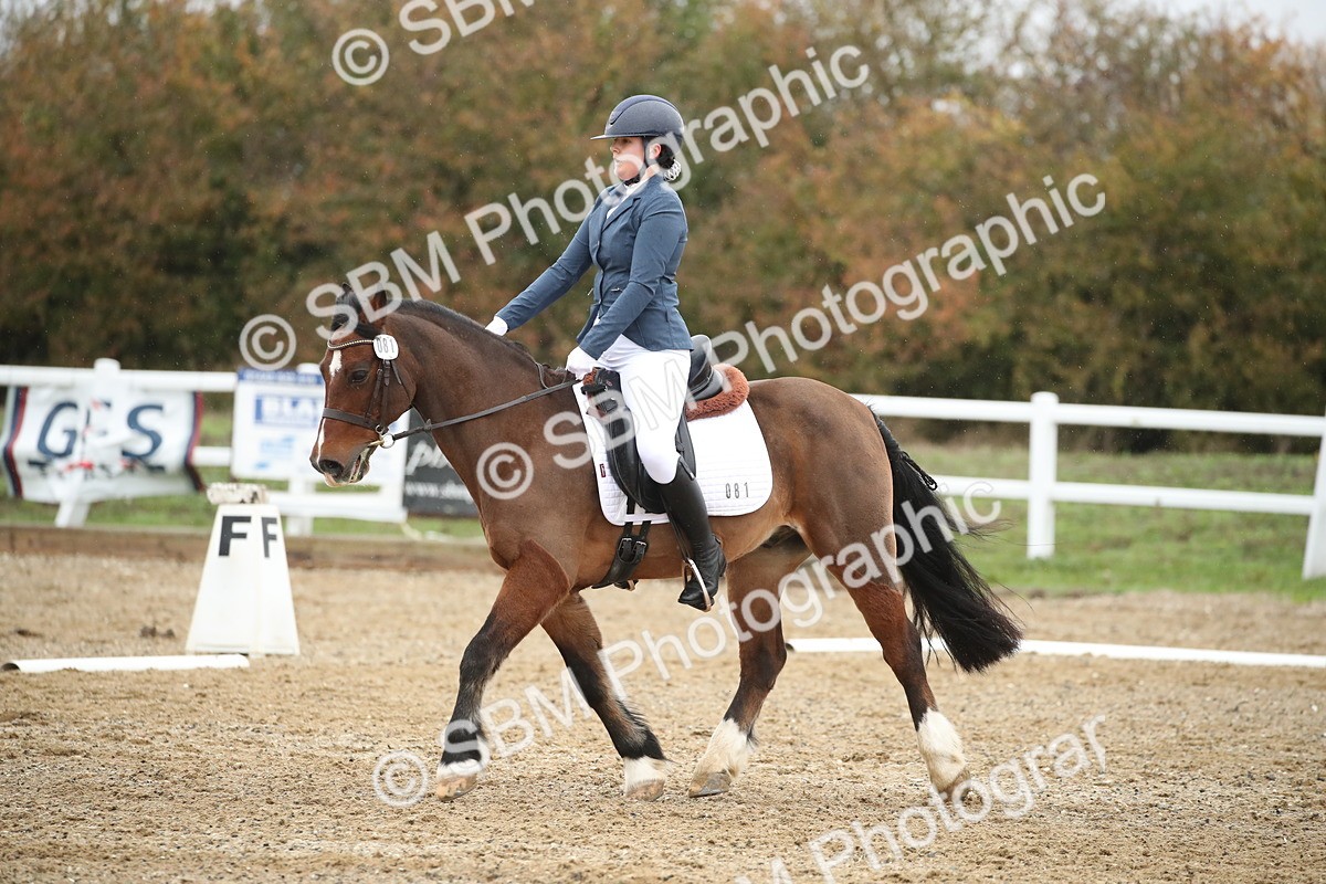SBM_001706 - Prelim 2